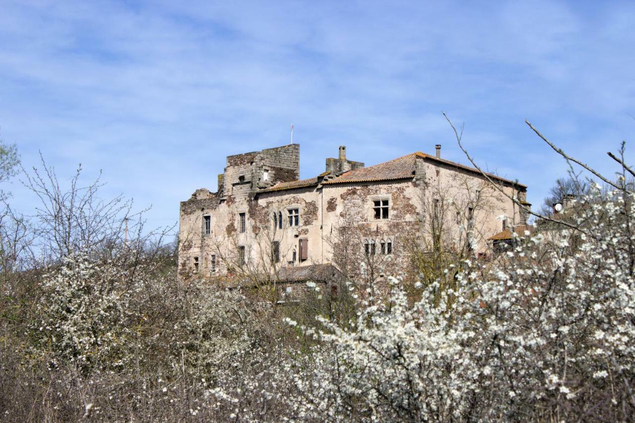 Chateau De Latour Sur Sorgue Apartment